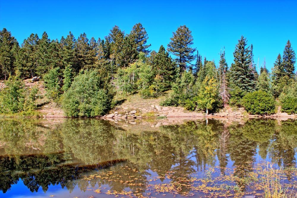 Enochs Lake Whitewater, CO 81527 - Photo 8 of 22 a view of a tree with a yard
