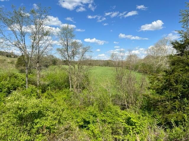 4897 Belmont Road Brooksville, KY 41004 - Photo 9 of 11 Gallery Image 9