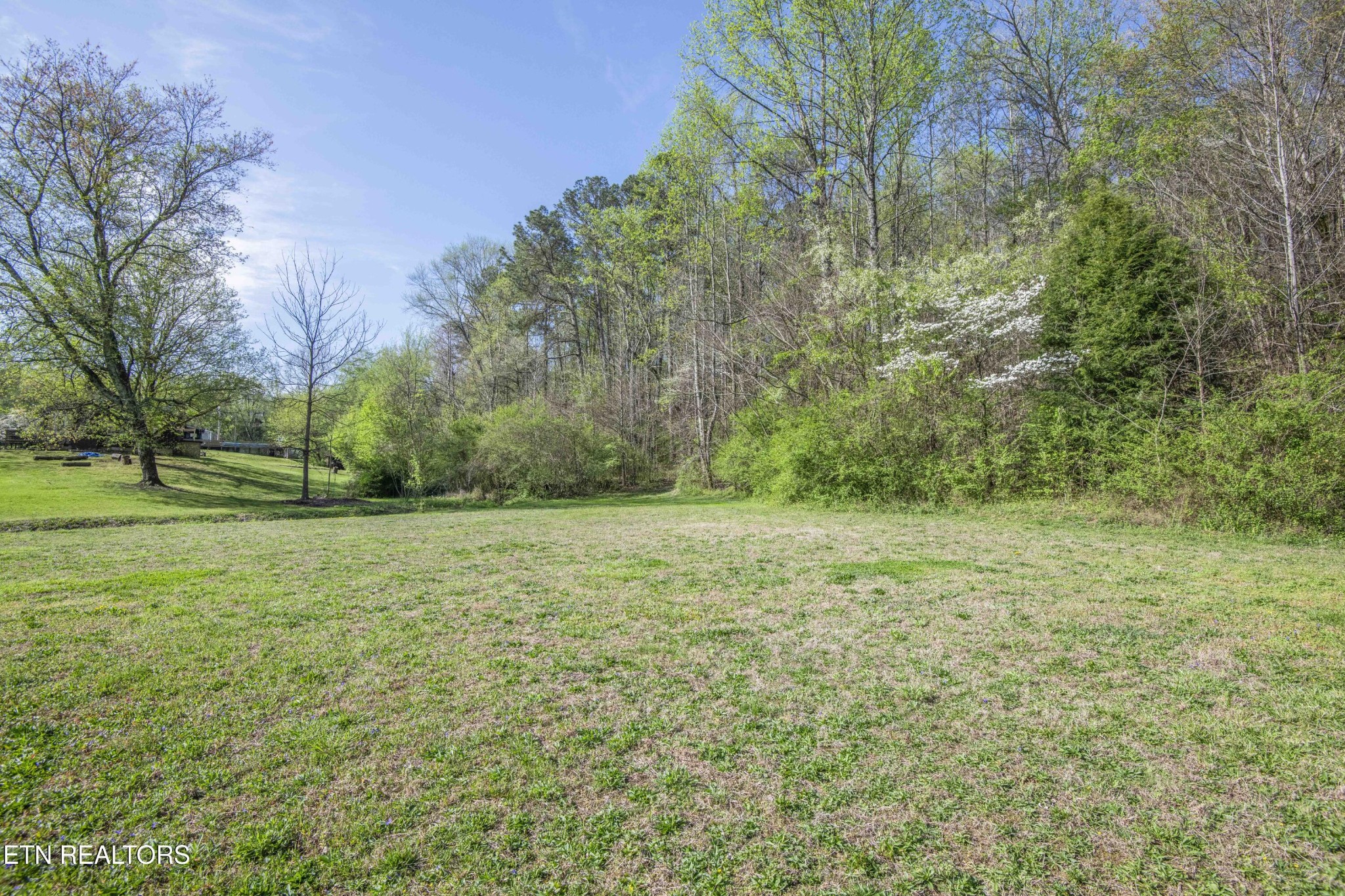 624 Baumgartner Road Harriman, TN 37748 - Photo 43 of 54 Gallery Image 43