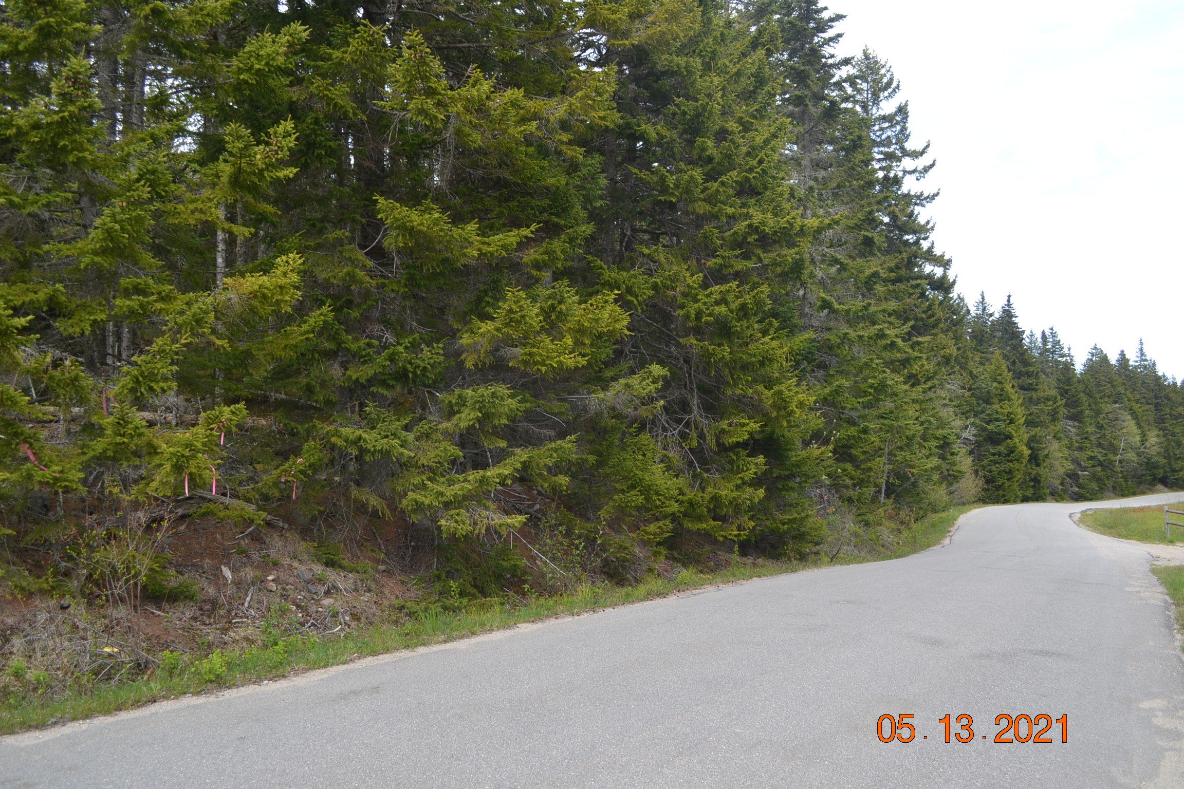 Lot 17-4 Destiny Bay Road Cutler, ME 04626 - Photo 12 of 13 DSC_0032