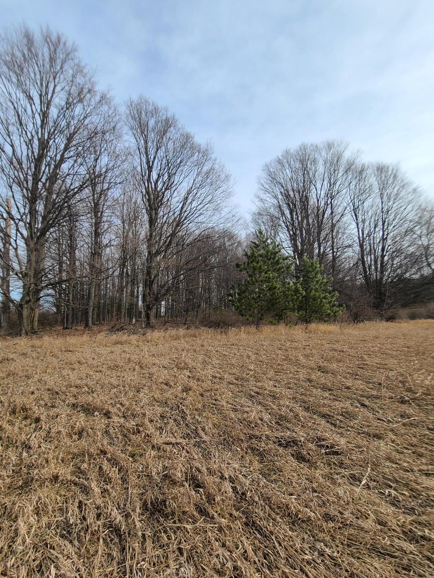 North Keno Road Roscommon, MI 48653 - Photo 3 of 9 Gallery Image 3