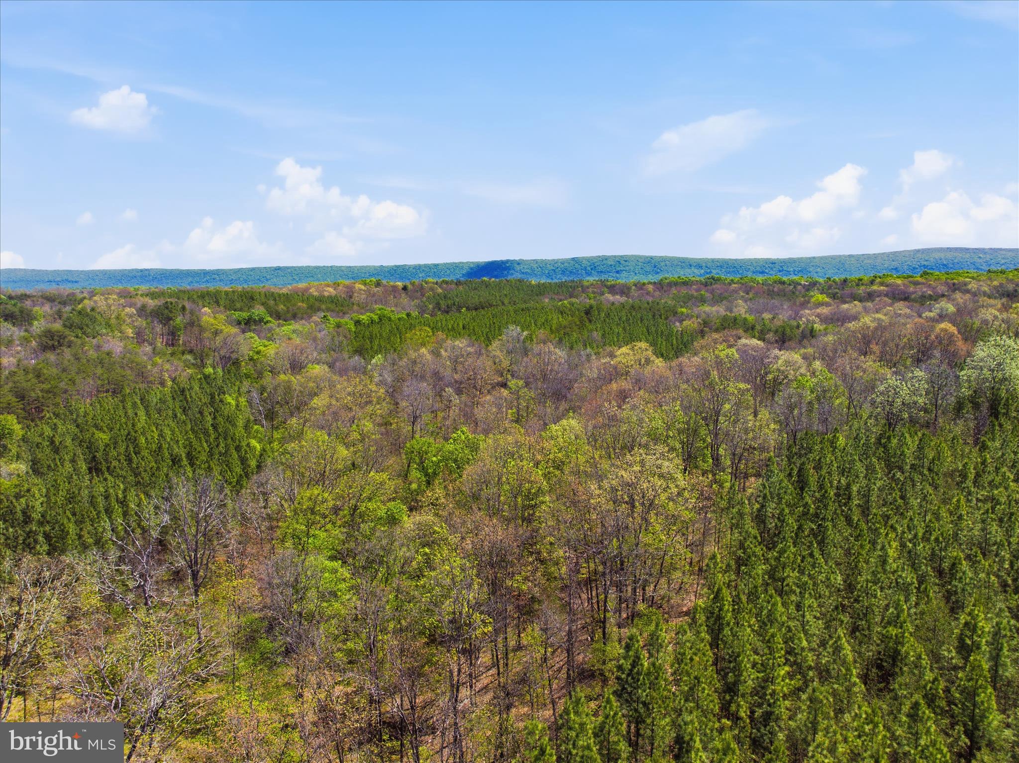 Off Virginia Line Road Berkeley Springs, WV 25411 - Photo 26 of 26 Aerial View 41.2 Acres