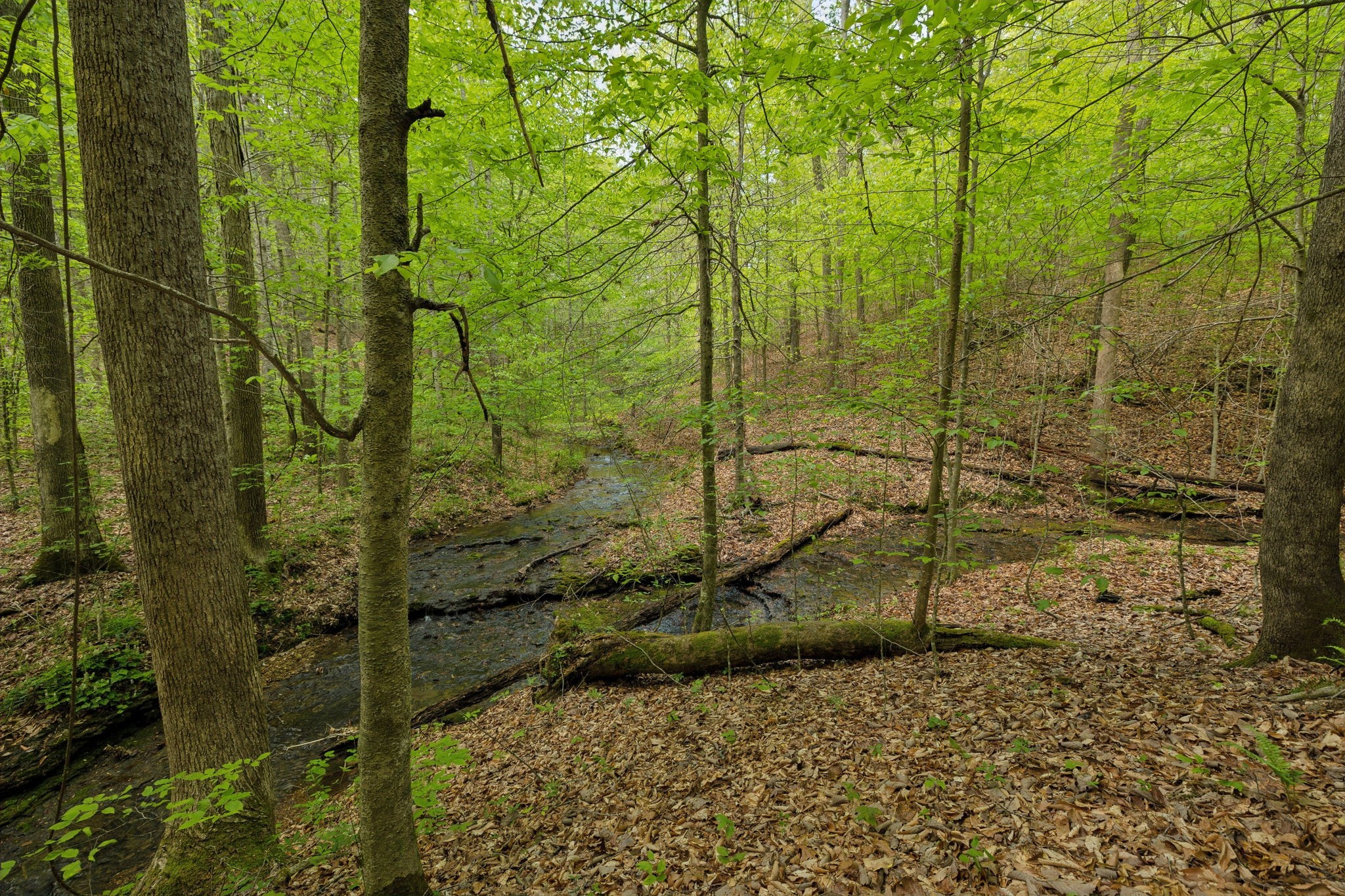 2182 New Home Road Smithville, TN 37166 - Photo 50 of 67 a view of a pathway of a yard