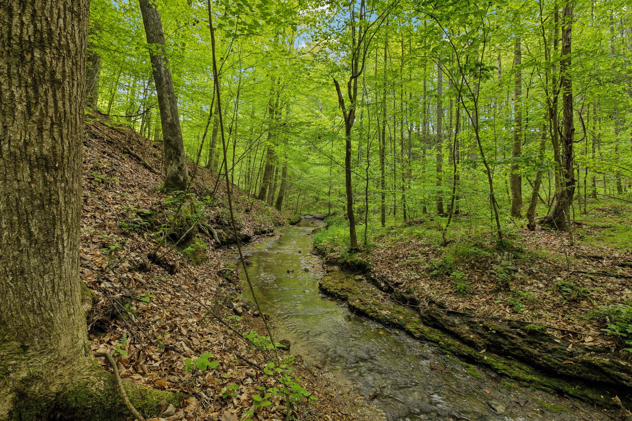 2182 New Home Road Smithville, TN 37166 - Photo 53 of 67