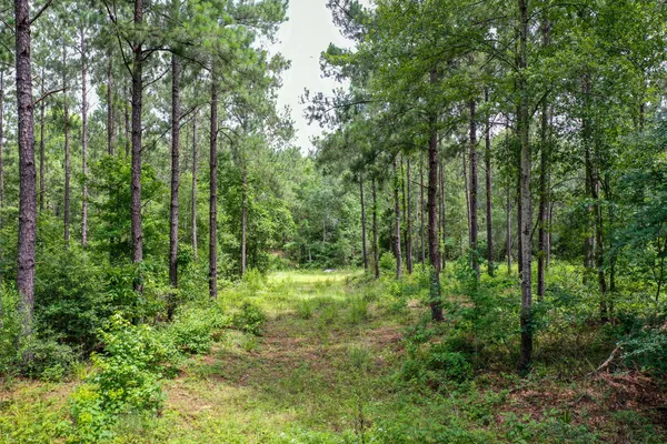 $159,500 | 1050 Crockett Tx 75835, Crockett, TX 75835