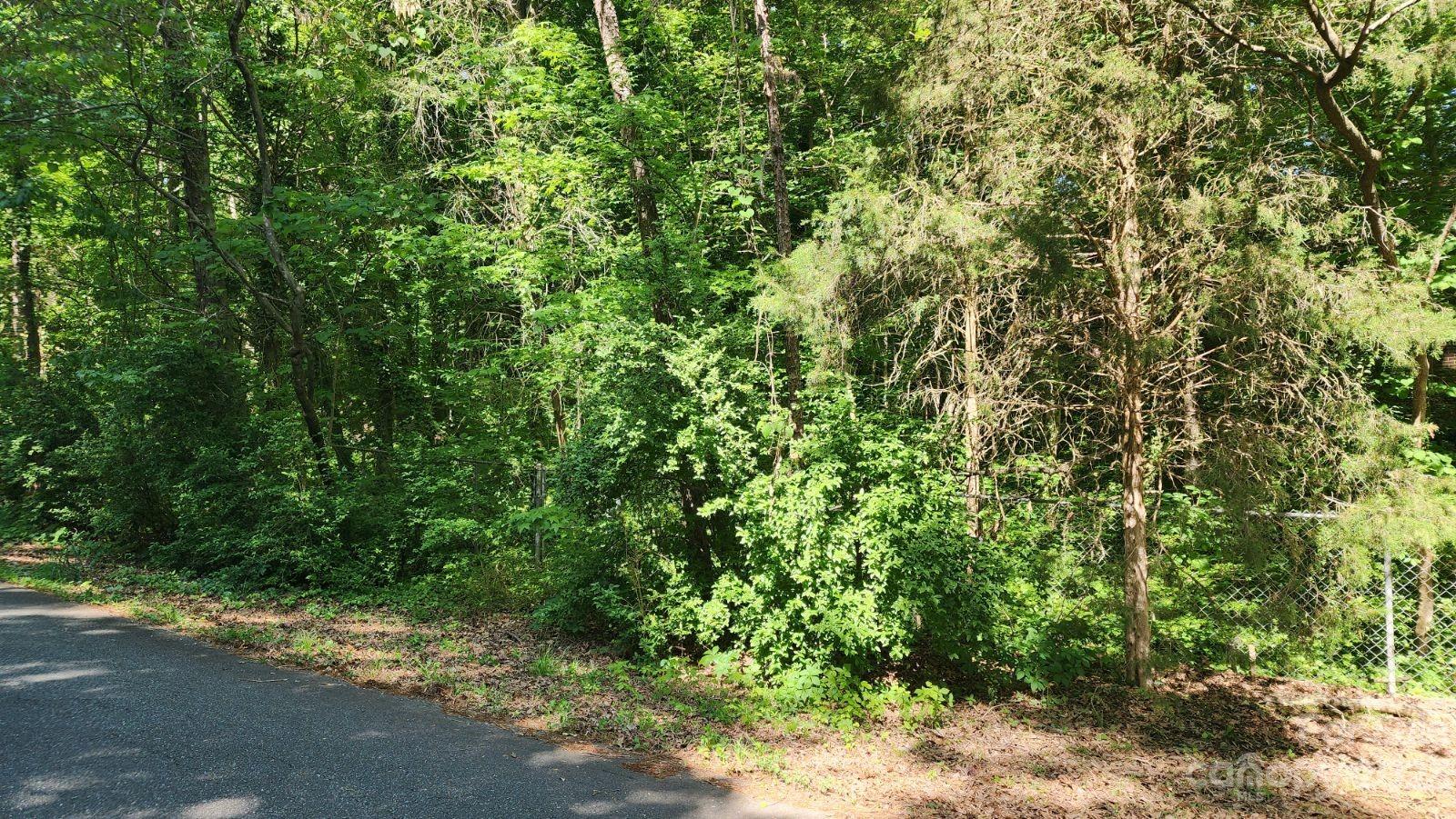 Tbd Lurecliff Place Fort Mill, SC 29708 - Photo 1 of 1 a view of a yard with plants and large trees