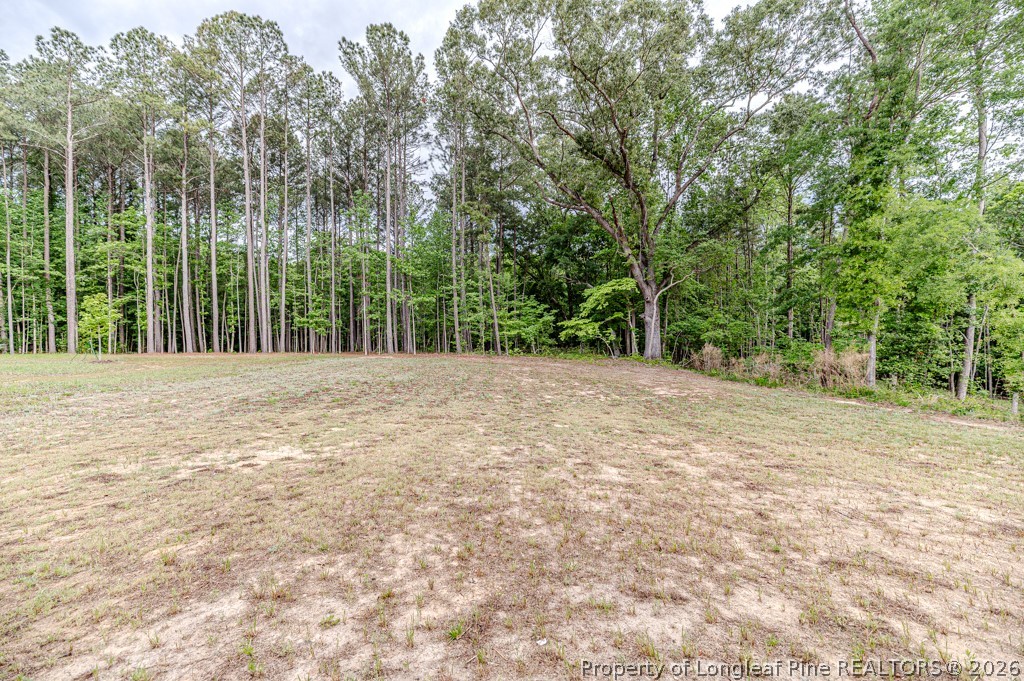 261 River Falls Road Sanford, NC 27332 - Photo 28 of 28 Nearly one acre lot
