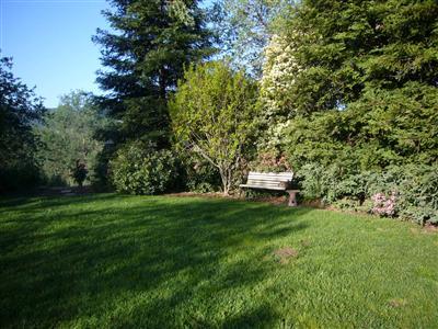 6854 Rodeo Drive Sanger, CA 93657 - Photo 2 of 9 Inviting yard to relax and read or enjoy nature.