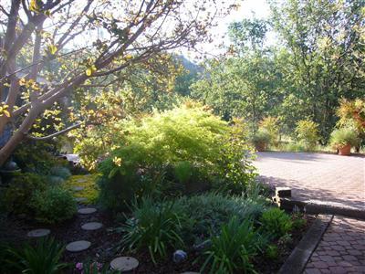 6854 Rodeo Drive Sanger, CA 93657 - Photo 3 of 9 Inlaid patio pavers are easy maintenance.