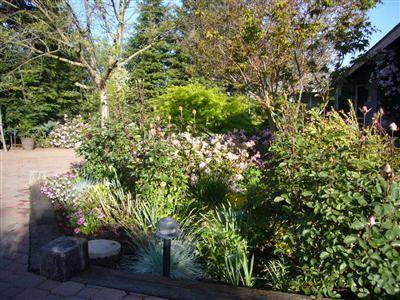 6854 Rodeo Drive Sanger, CA 93657 - Photo 5 of 9 Take a deep breath of the fresh clean air these lush plants provide.