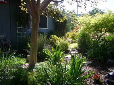 6854 Rodeo Drive Sanger, CA 93657 - Photo 7 of 9 Garden path through the back yard.