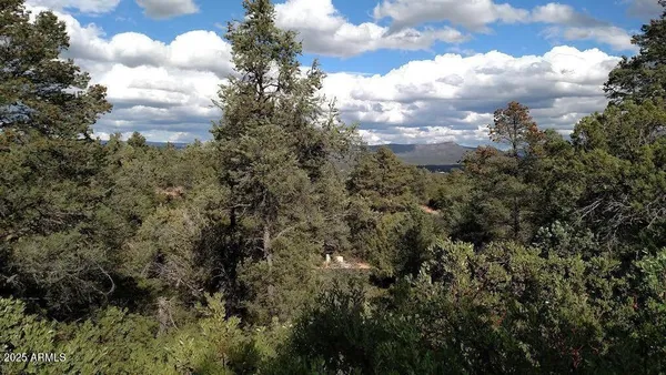 a view of a bunch of trees