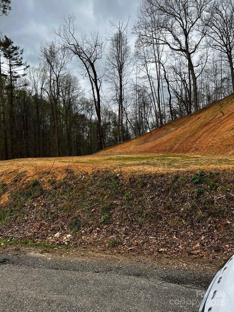 44 Bee Gum Ridge, Unit 44 Bryson City, NC 28713 - Photo 12 of 12 a view of large trees with wooden fence