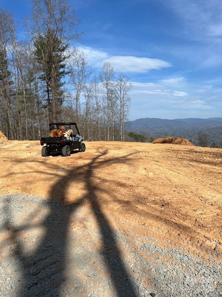 44 Bee Gum Ridge, Unit 44 Bryson City, NC 28713 - Photo 7 of 12