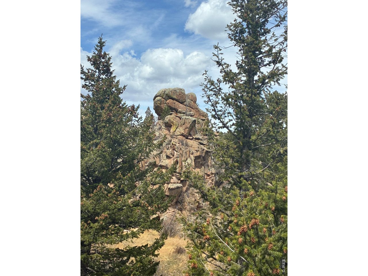 410 Monoma Road Red Feather Lakes, CO 80545 - Photo 20 of 26