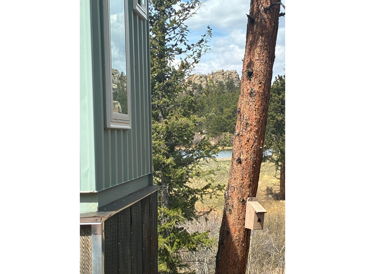 410 Monoma Road Red Feather Lakes, CO 80545 - Photo 8 of 26