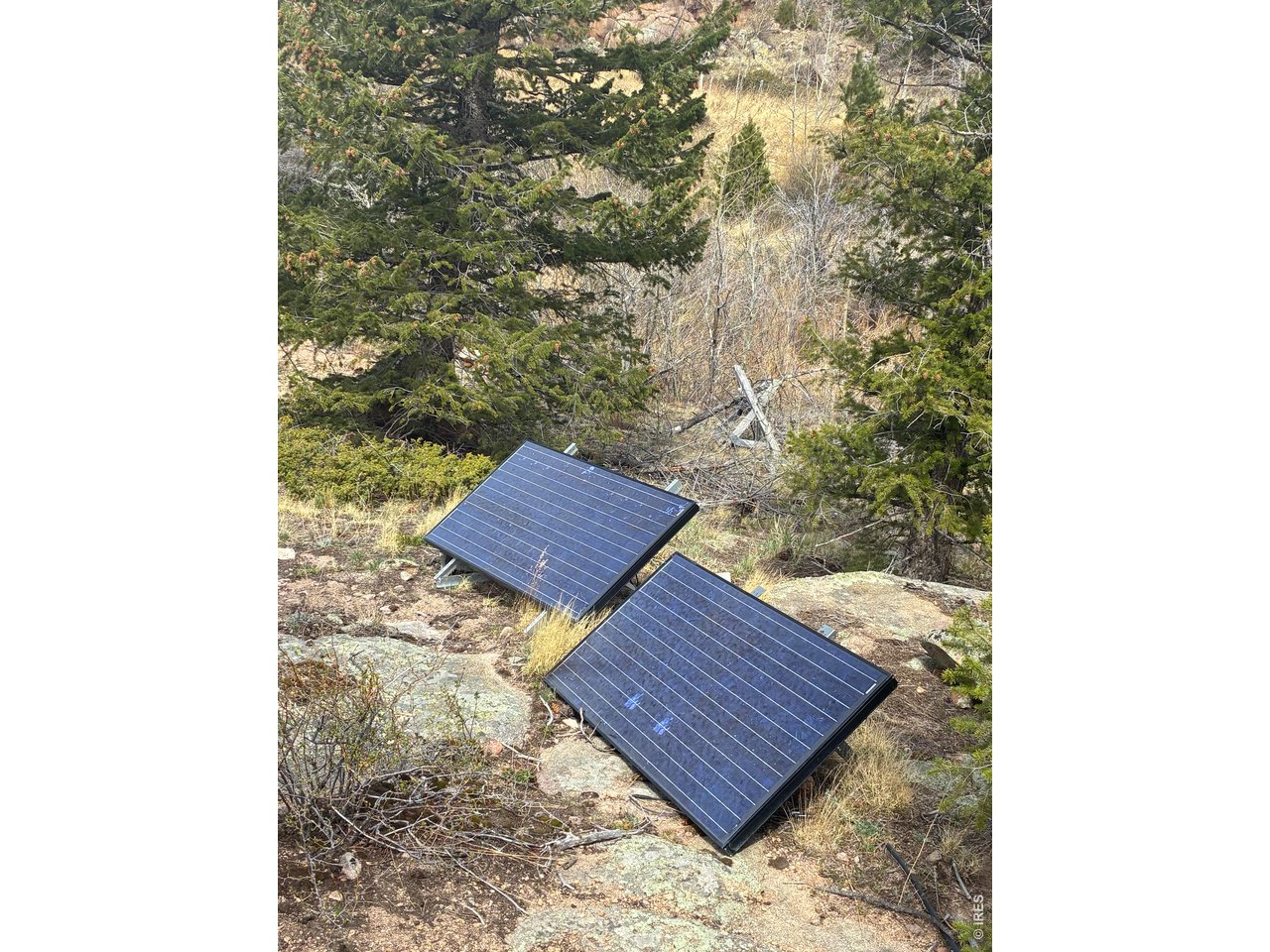 410 Monoma Road Red Feather Lakes, CO 80545 - Photo 9 of 26