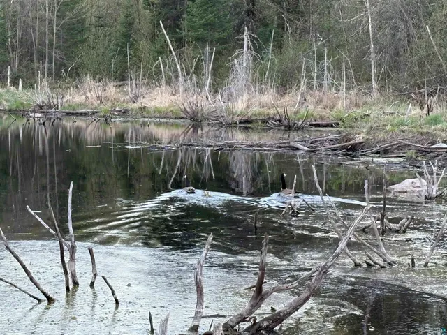 $84,000 | 0 Mertig Road, Glidden, WI 54527