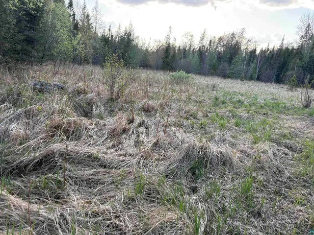 $84,000 | 0 Mertig Road, Glidden, WI 54527