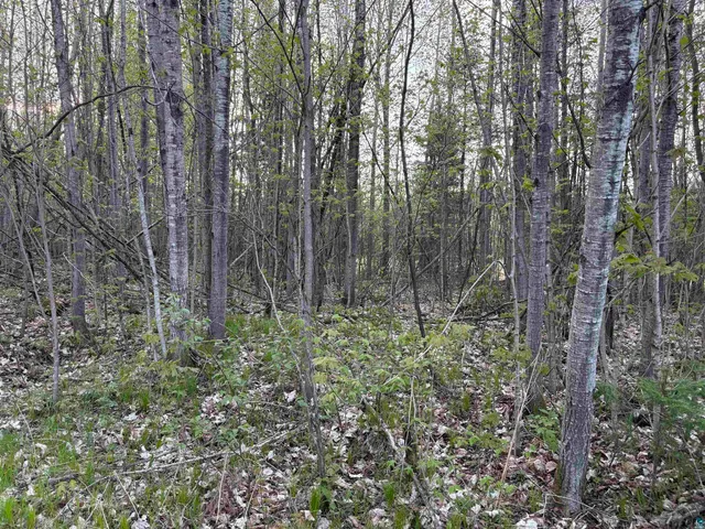 $84,000 | 0 Mertig Road, Glidden, WI 54527