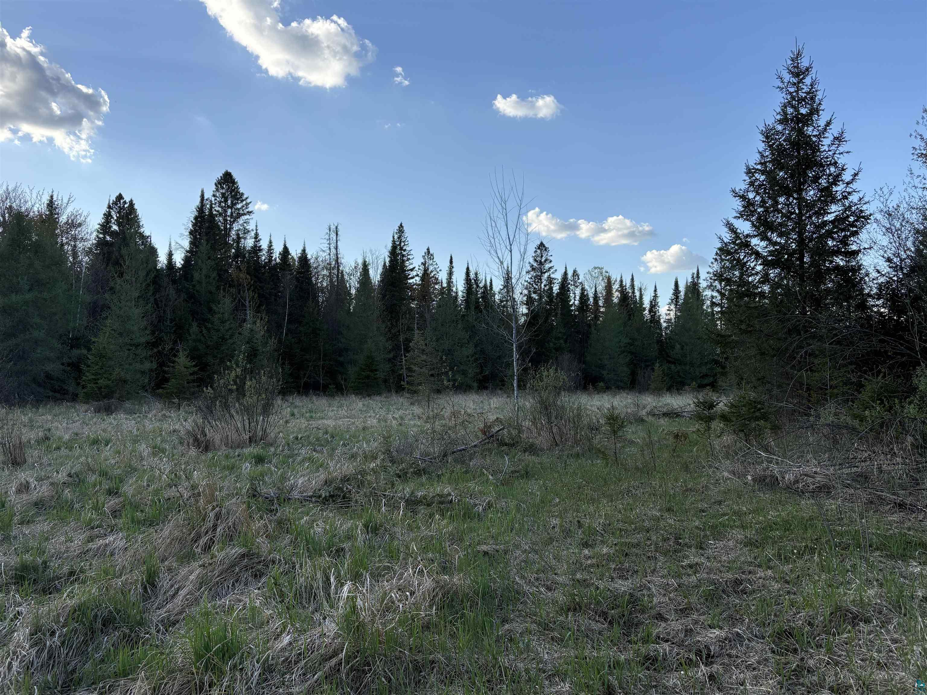 0 Mertig Road Glidden, WI 54527 - Photo 9 of 20 View of wooded area
