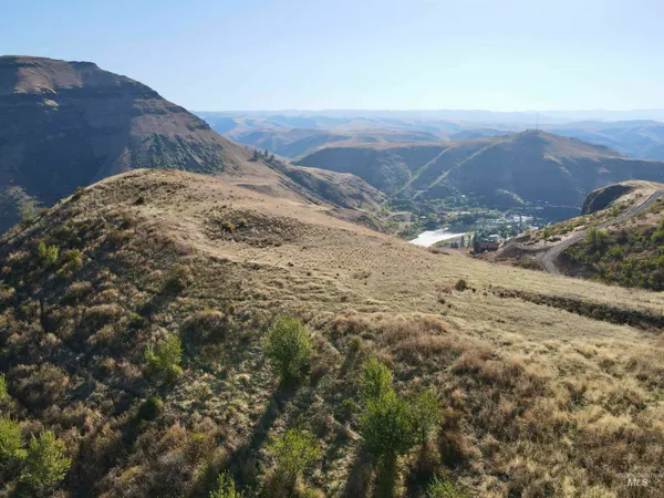 $295,000 | Lot 9 Salmon View Road, White Bird, ID 83554