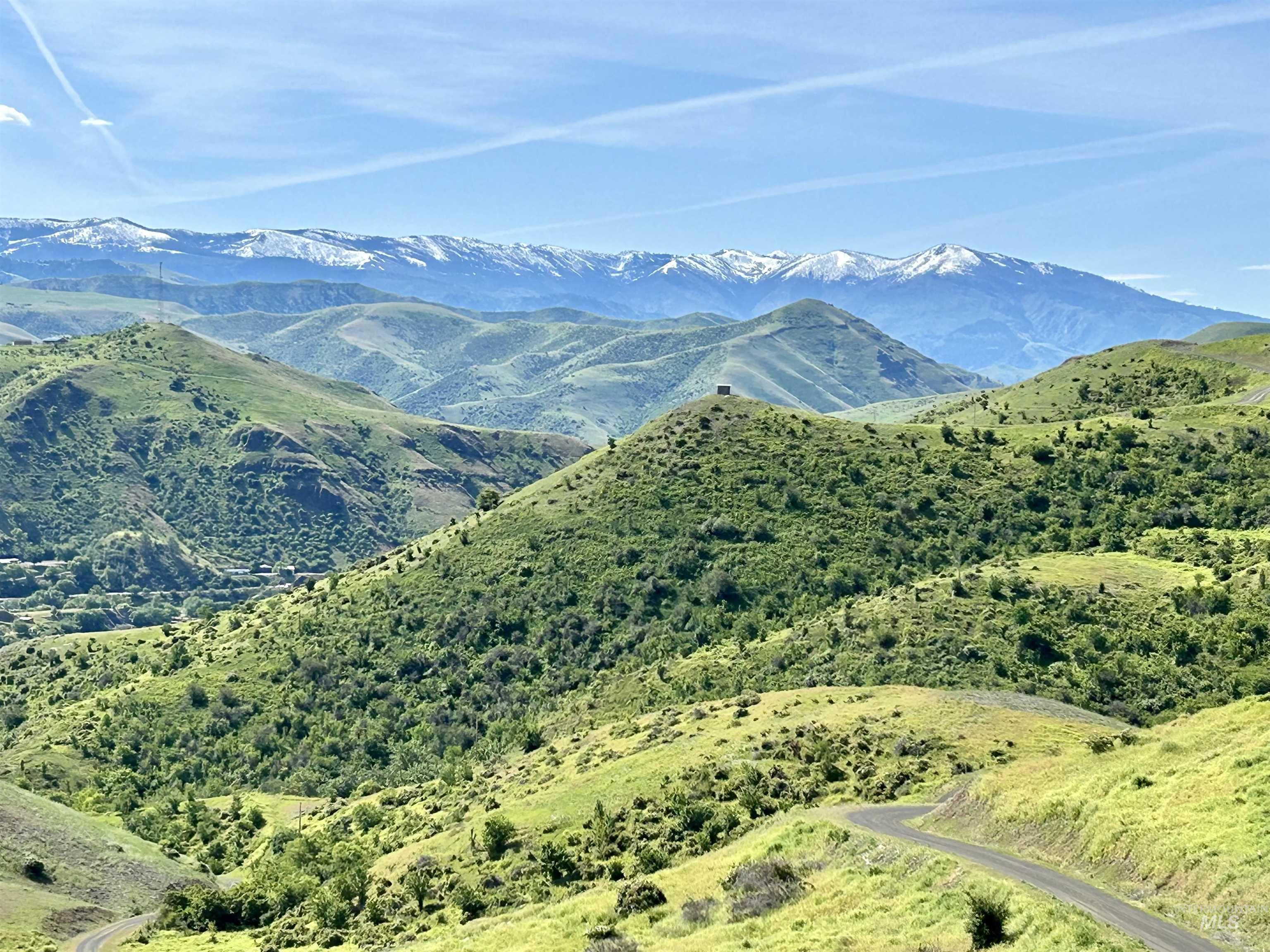 Lot 9 Salmon View Road White Bird, ID 83554 - Photo 2 of 12