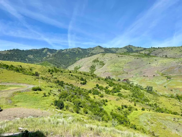 $295,000 | Lot 9 Salmon View Road, White Bird, ID 83554