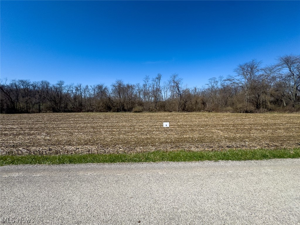0 Lonesome Road Thornville, OH 43076 - Photo 2 of 31