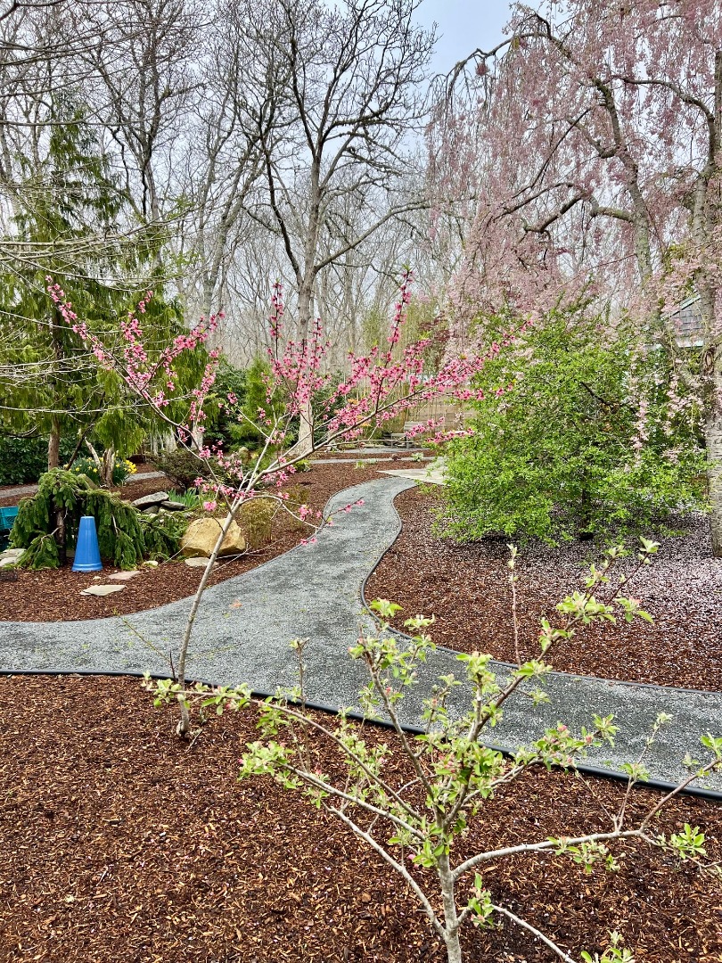 50 Bradley Martin Road West Tisbury, MA 02568 - Photo 30 of 37 a street view with large trees