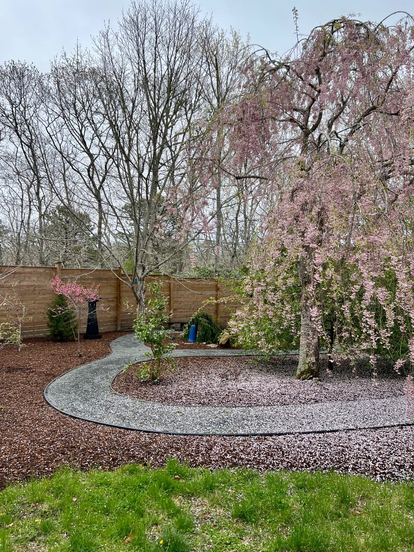 50 Bradley Martin Road West Tisbury, MA 02568 - Photo 31 of 37 a front view of a house with garden