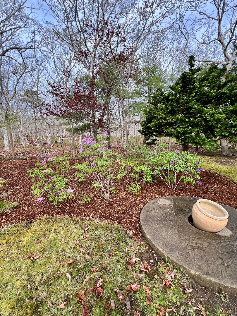 50 Bradley Martin Road West Tisbury, MA 02568 - Photo 32 of 37 a view of outdoor space and yard