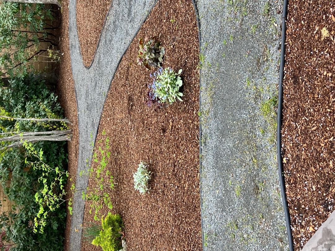 50 Bradley Martin Road West Tisbury, MA 02568 - Photo 35 of 37 a view of a yard with large trees