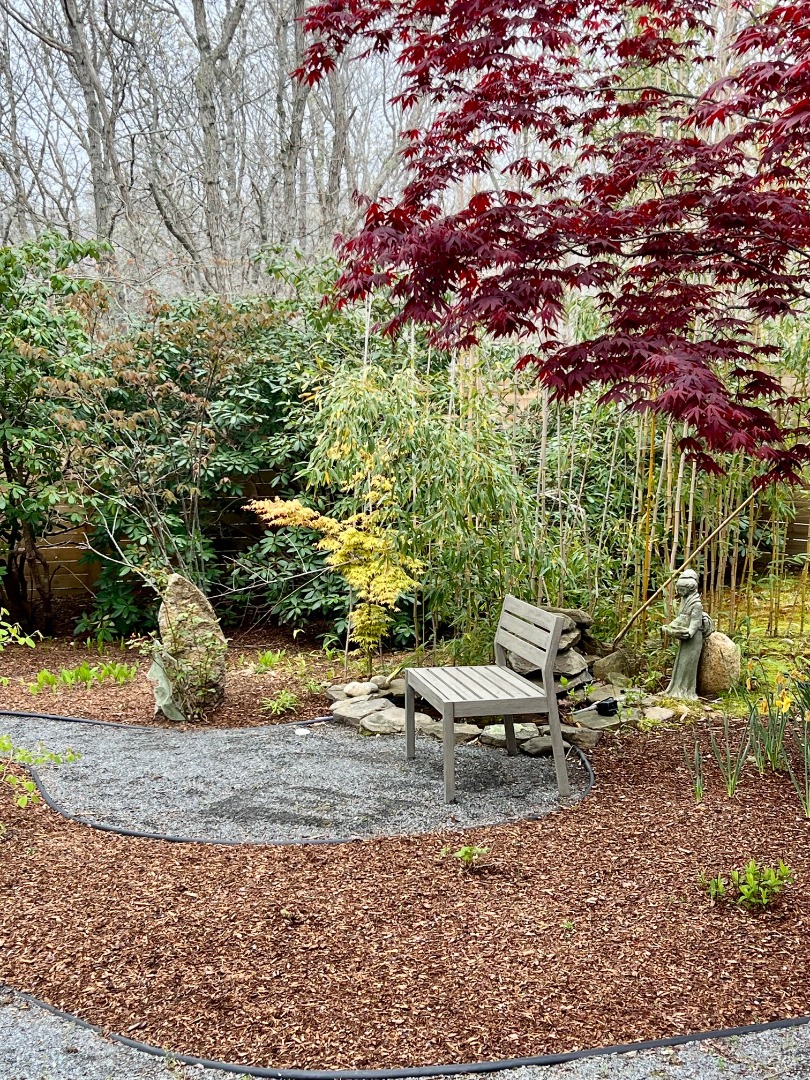 50 Bradley Martin Road West Tisbury, MA 02568 - Photo 37 of 37 a view of a backyard