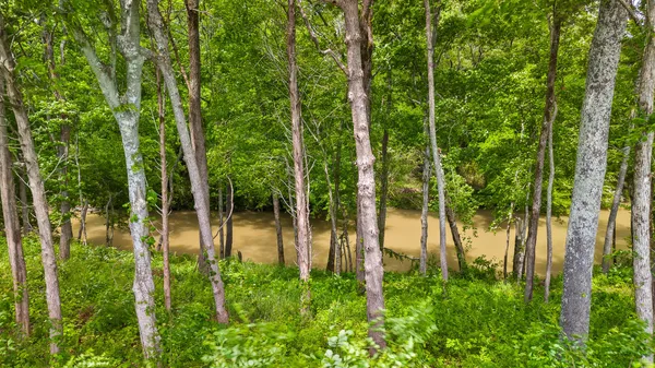 $97,500 | Lot 35 River Ridge Drive, Dunlap, TN 37327