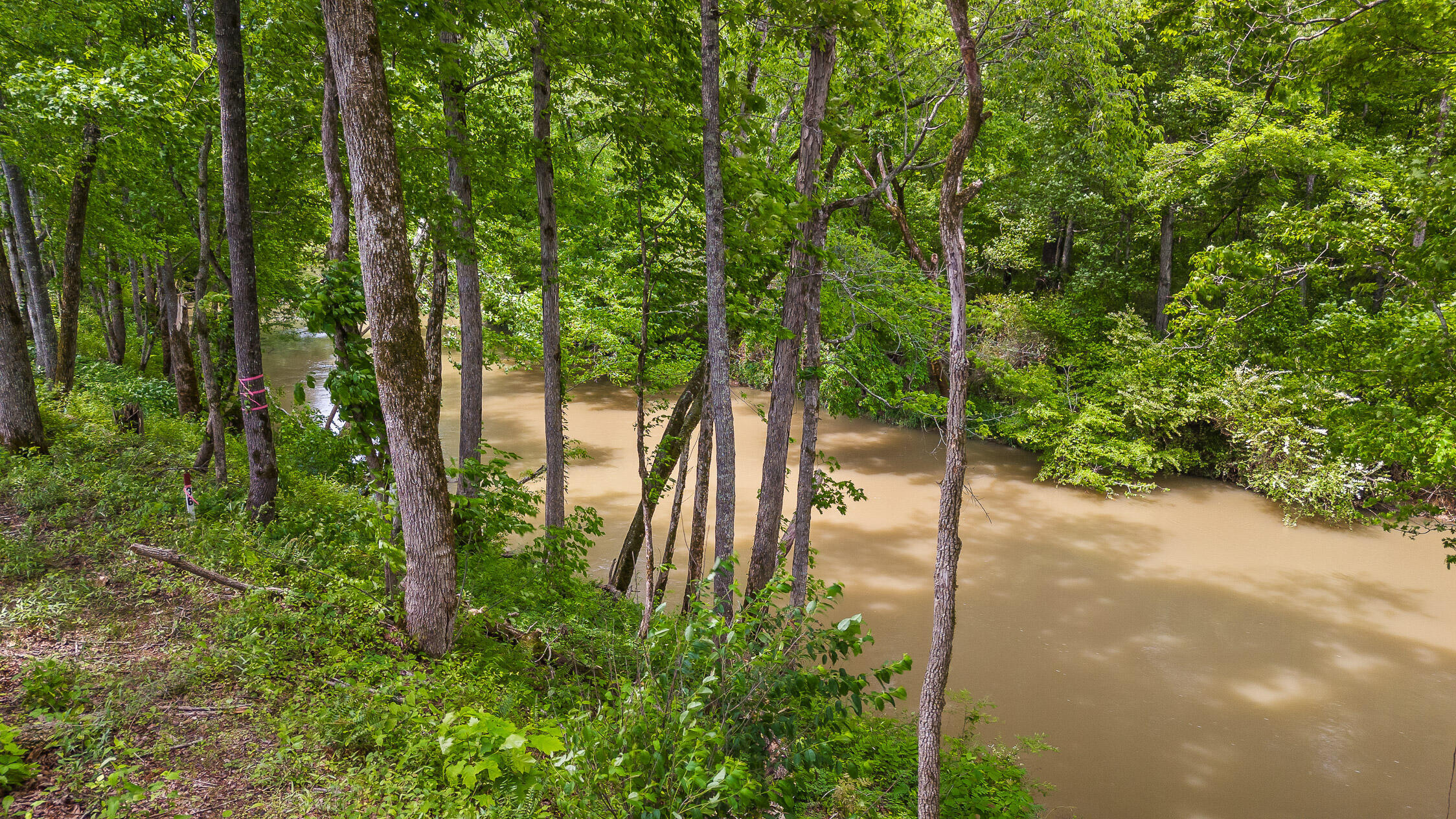 Lot 35 River Ridge Drive Dunlap, TN 37327 - Photo 27 of 35 Creek