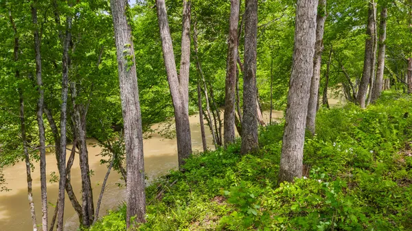 $97,500 | Lot 35 River Ridge Drive, Dunlap, TN 37327