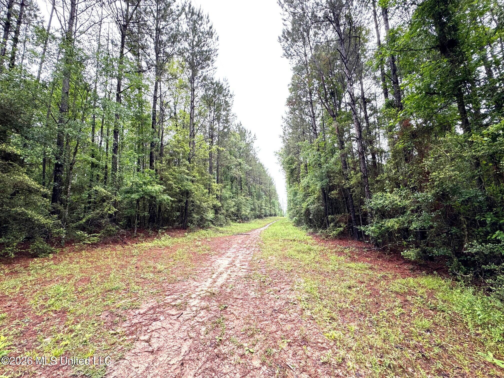 Power line trail