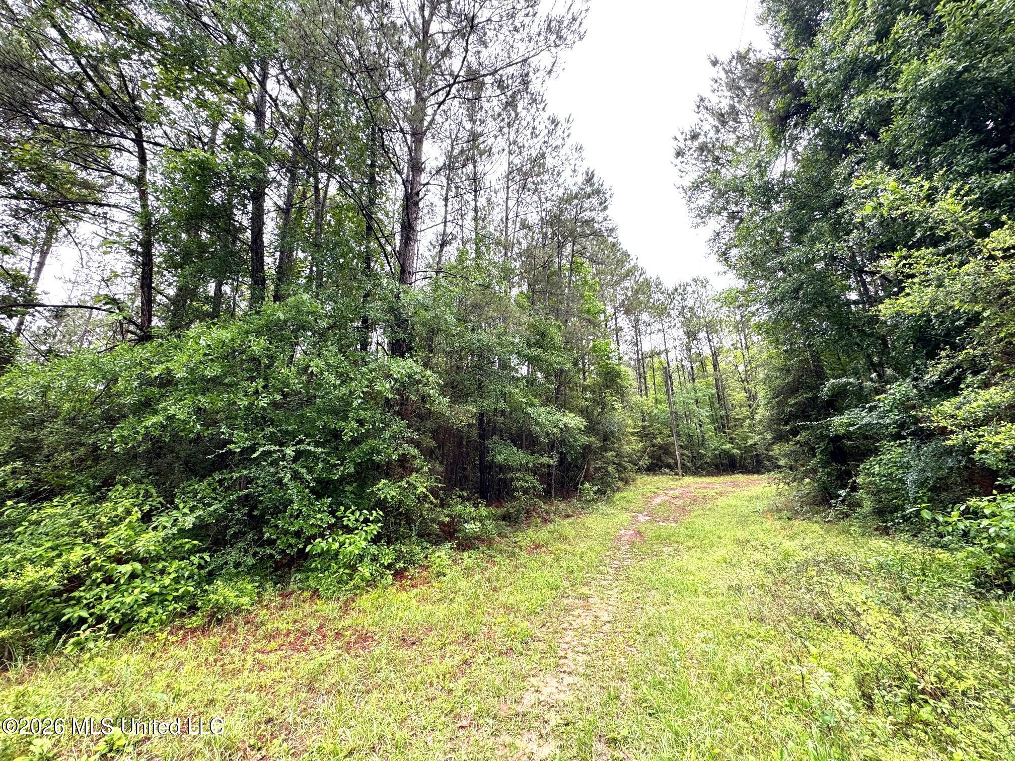 0 Emerald State Line Road Magnolia, MS 39652 - Photo 2 of 14 Power line trail
