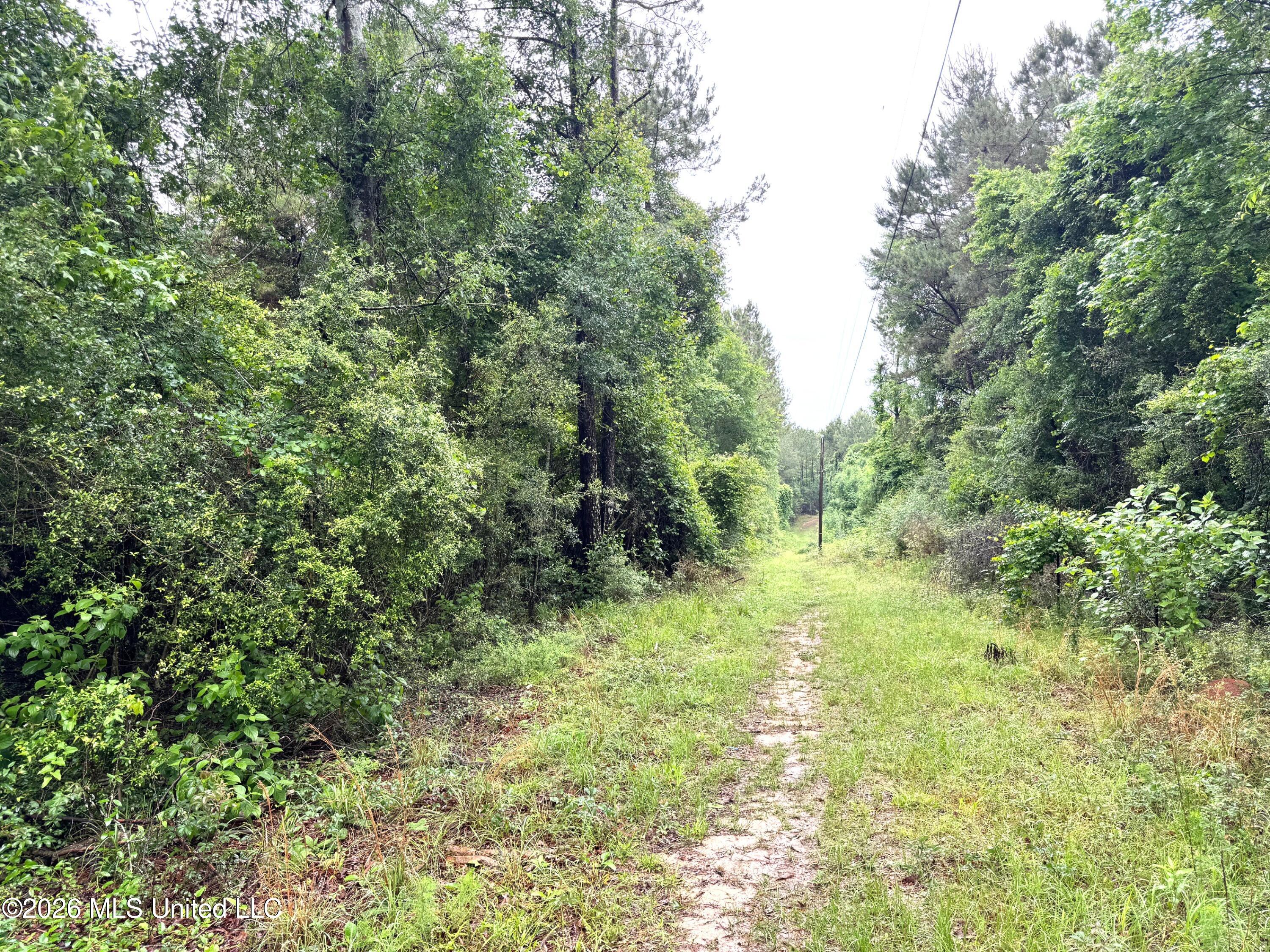 0 Emerald State Line Road Magnolia, MS 39652 - Photo 4 of 14 Power line trail