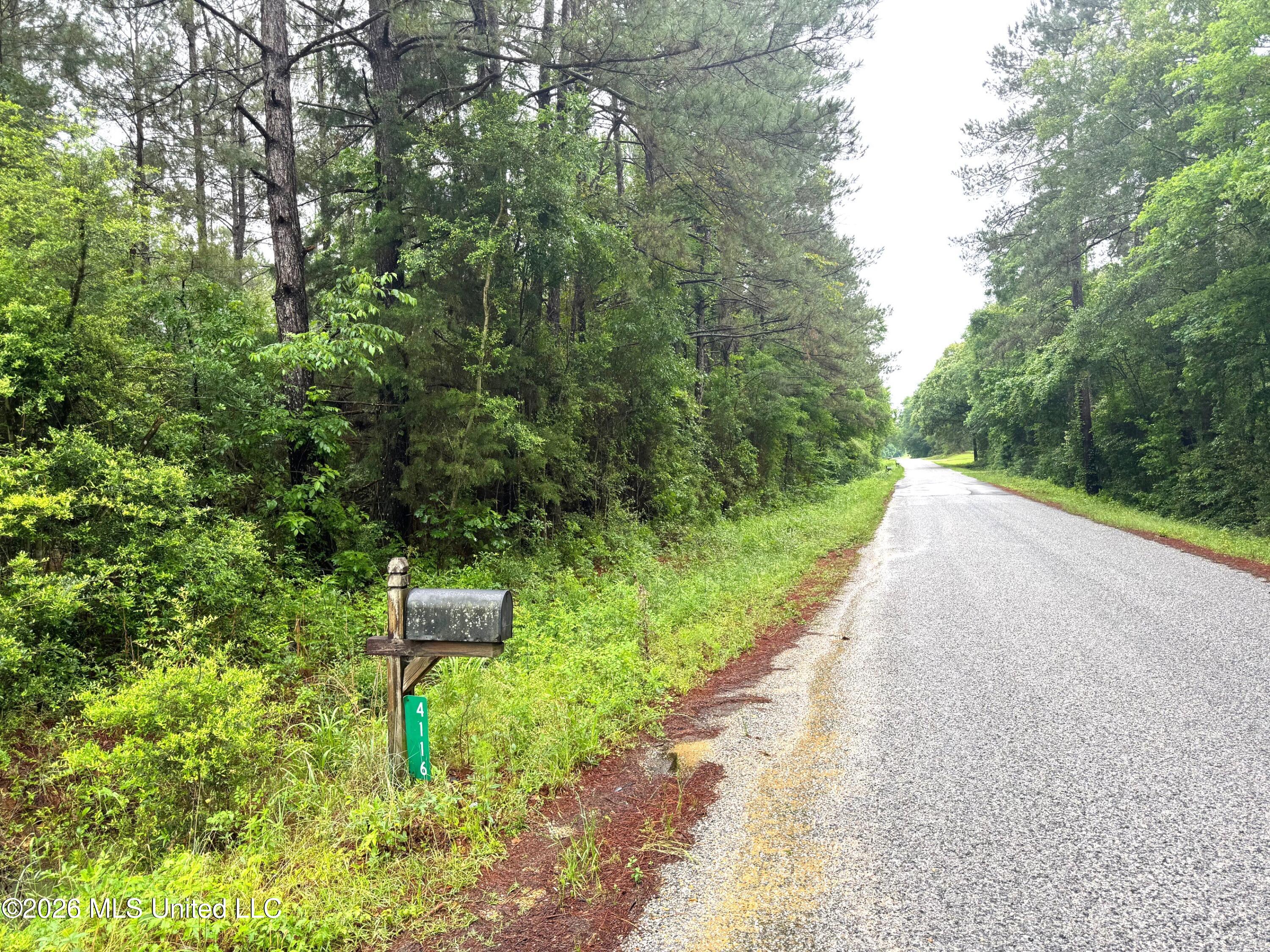 0 Emerald State Line Road Magnolia, MS 39652 - Photo 7 of 14 Street view facing south