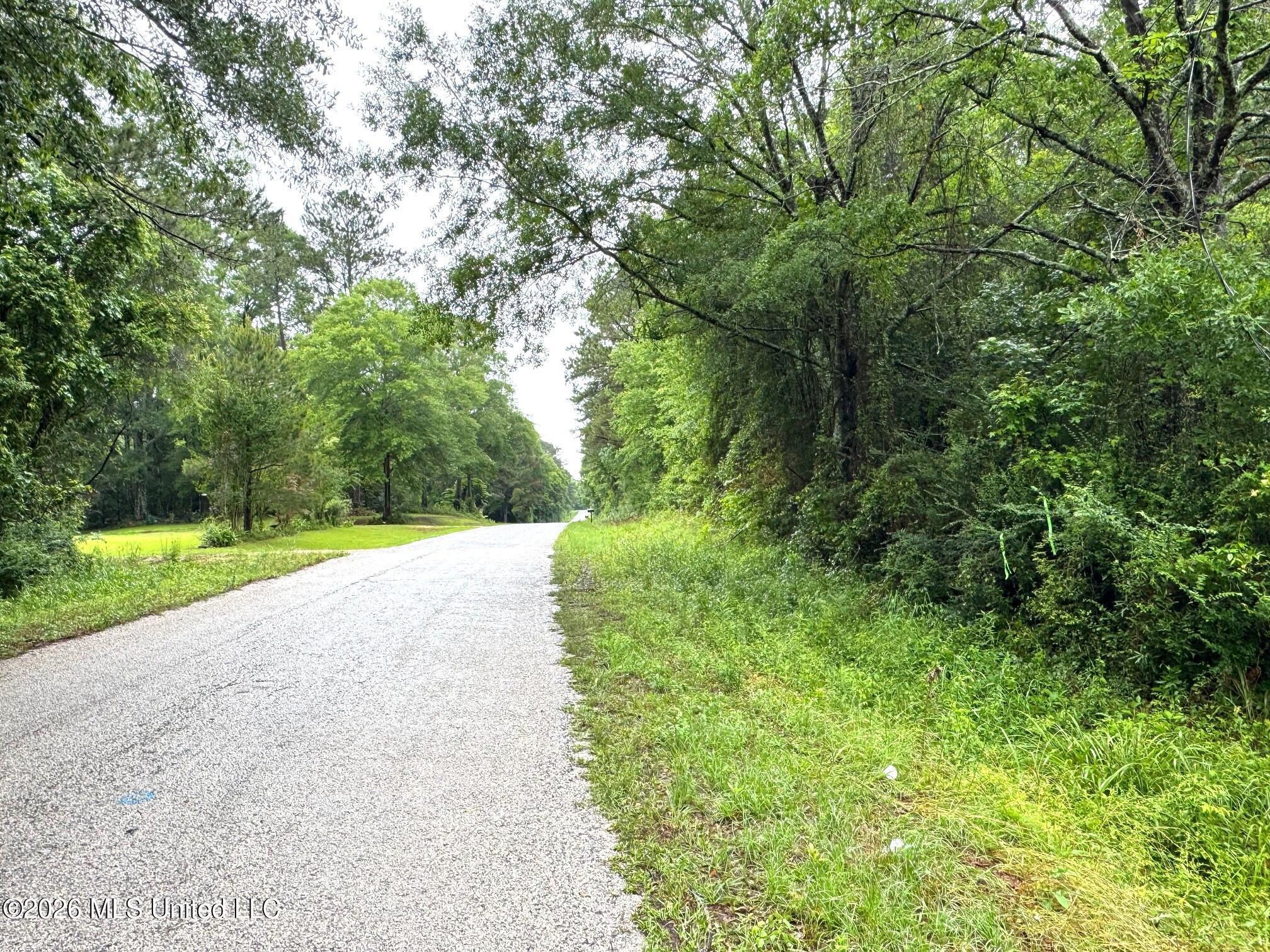 0 Emerald State Line Road Magnolia, MS 39652 - Photo 8 of 14 Street view facing north