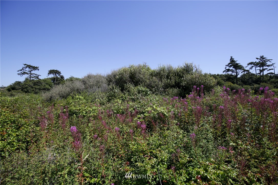 904 East Riley Road Oak Harbor, WA 98277 - Photo 13 of 37 Gallery Image 13