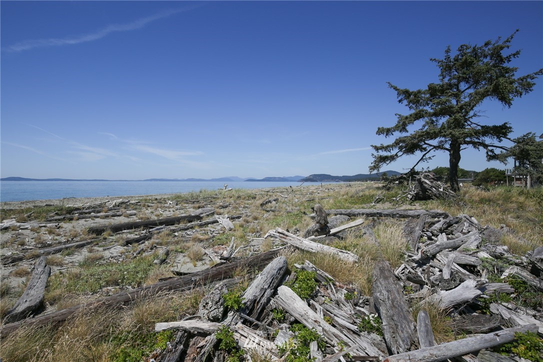 904 East Riley Road Oak Harbor, WA 98277 - Photo 14 of 37 Gallery Image 14