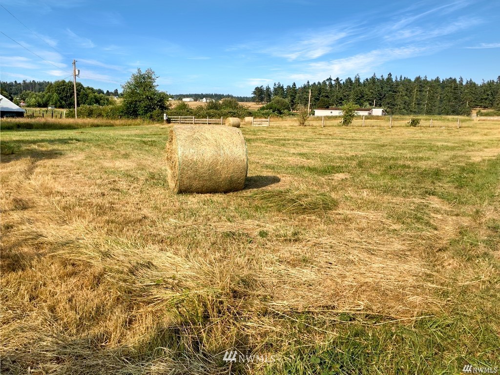 904 East Riley Road Oak Harbor, WA 98277 - Photo 10 of 37 Gallery Image 10