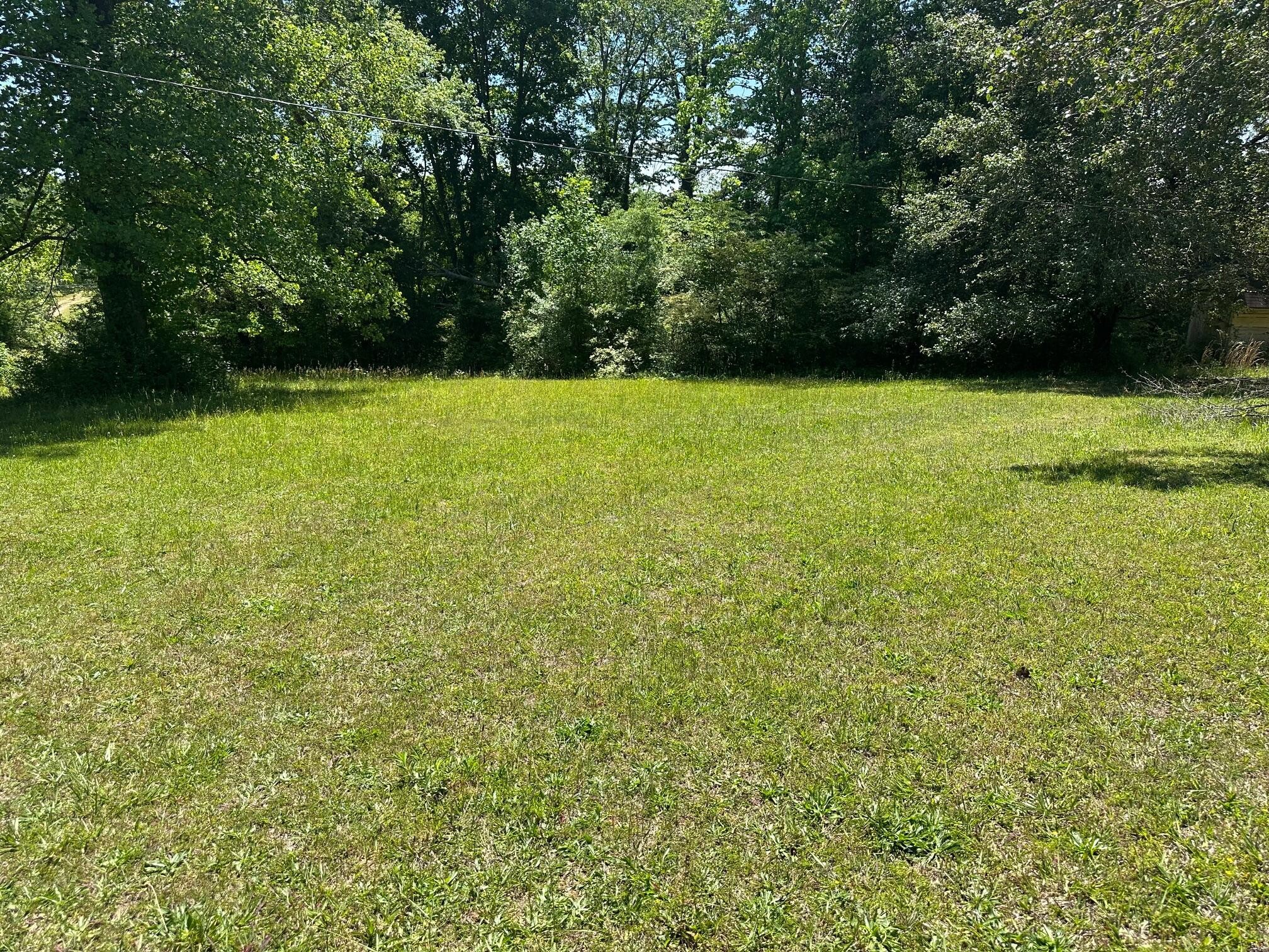 0 Mars Hill Road Spring City, TN 37381 - Photo 5 of 13 Gallery Image 5