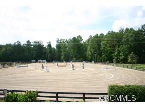 110 Palmetto Stakes Irmo, SC 29063 - Photo 9 of 13