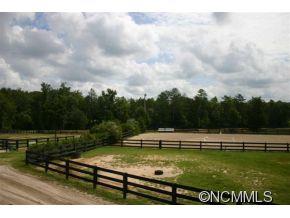 110 Palmetto Stakes Irmo, SC 29063 - Photo 10 of 13