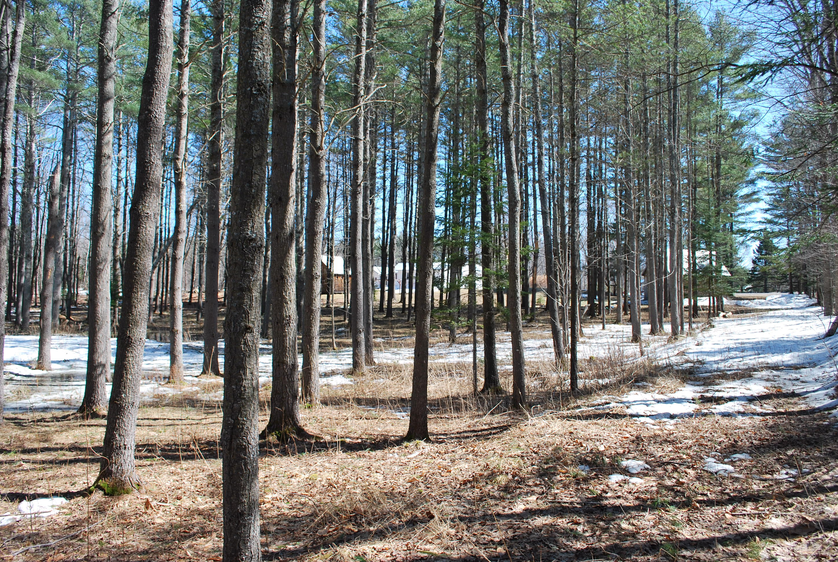 150 Athens Road Harmony, ME 04942 - Photo 16 of 50 150 Athens Road Harmony 018