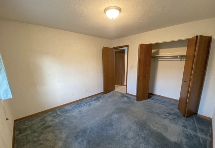 809 Shagbark Road New Lenox, IL 60451 - Photo 9 of 19